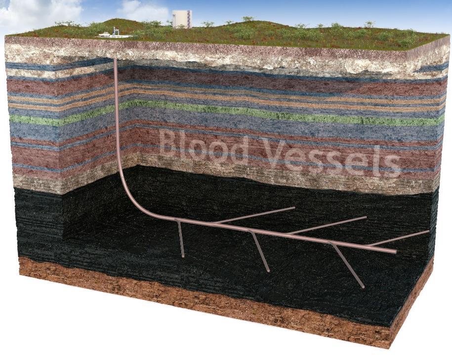 Боковые каналы Blood Vessels расходятся из ствола скважины в продуктивном пласте